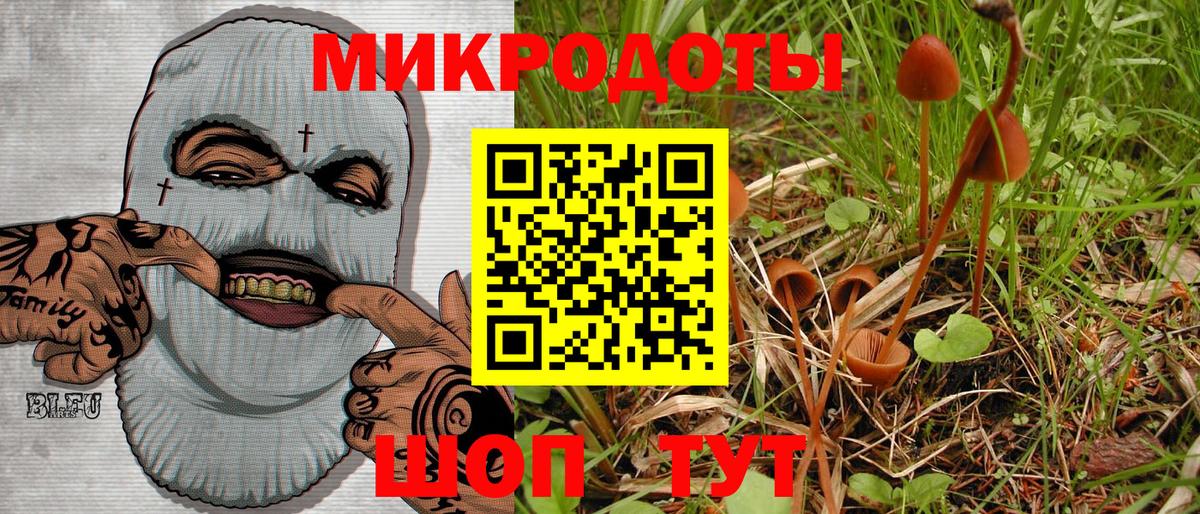 Псилоцибиновые грибы Magic Shrooms Шахты