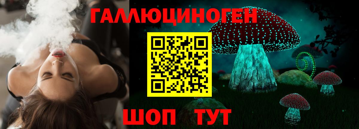 Шахты  Галлюциногенные грибы мицелий  сколько стоит  Вход с VPN 